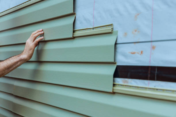 Best Brick Veneer Siding  in Eustis, FL